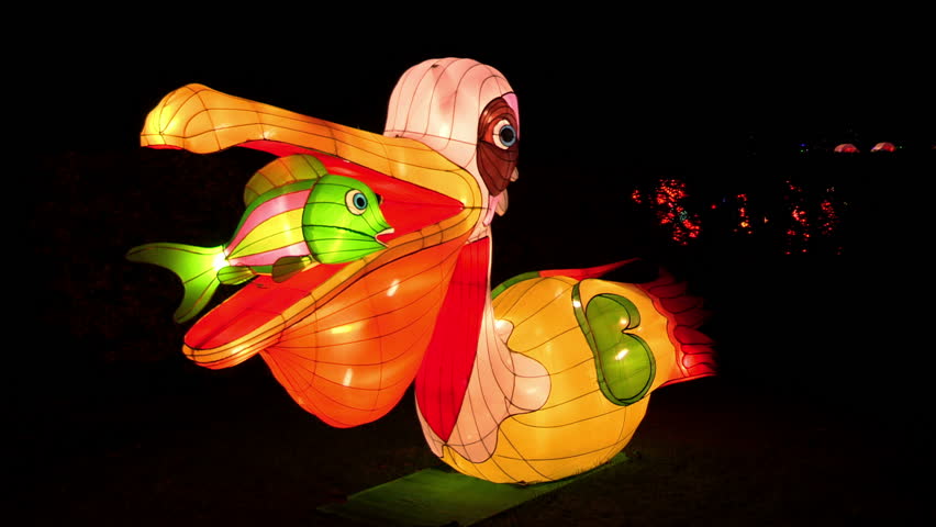 Chinese lanterns of two beautiful pelicans with a carp in their beak during the China Light Festival