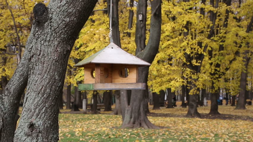Bird Feeder in autumn windy park, than titmouse fly away from feeder 