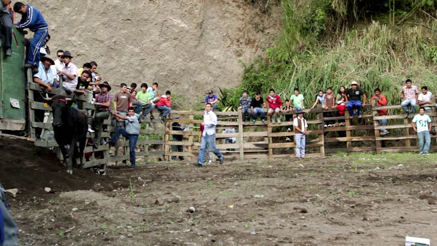 BANOS DE AGUA SANTA,ECUADOR - 28 OCTOBER 2012:Improvised bullfights for the city ceremony gives people the opportunity to try out their skills in bullfighting