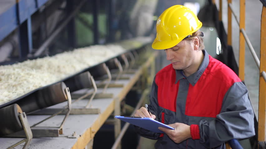 Industrial Worker - Quality Control, controlling and writing the result of the quality of chopped sugar beet on conveyor belt in sugar refinery