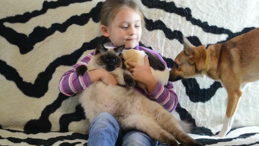 little cute girl with long hair playing with pets
