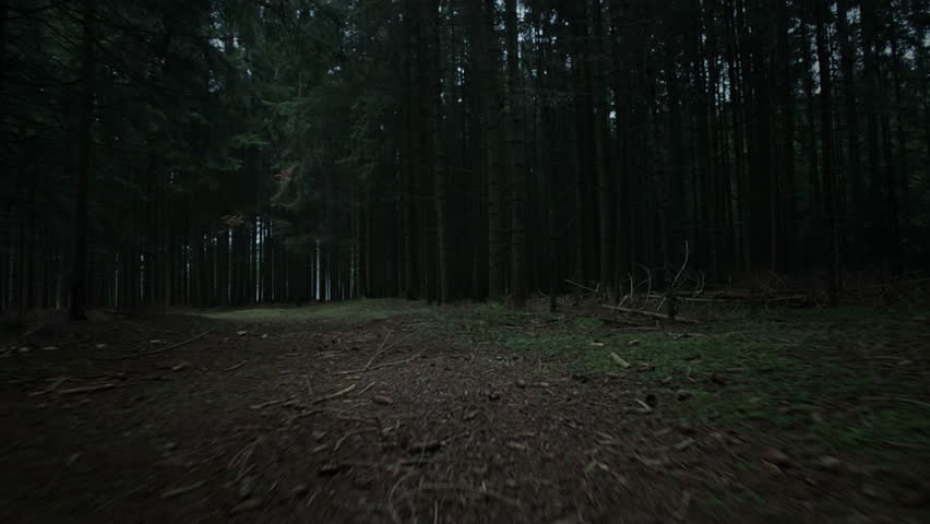 steadicam shot through dark creepy forest