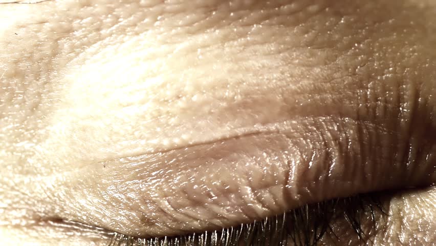 Neuronal Activity Female Red
Zooming through a female eye into the brain