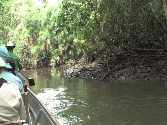 Paddling a dugout canoe on the Challuaycu Stream, Amazon