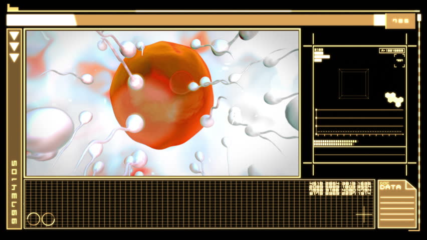 Medical digital interface showing egg cell fertilization in orange and black