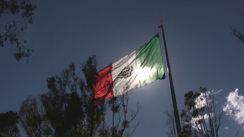 Mexican Flag