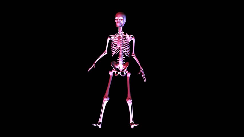 Posing Skeleton