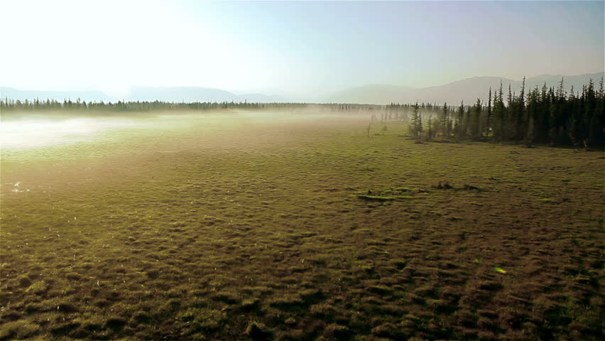 misty field