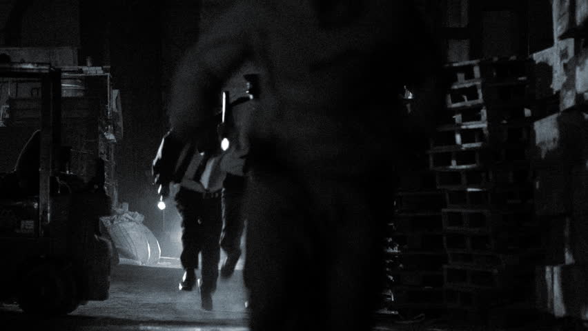 Edited Police operation. Criminal pursuit.