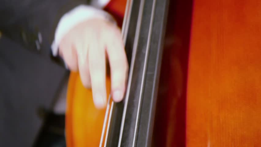 Man yanks strings on contrabass, closeup view with only hands visible
