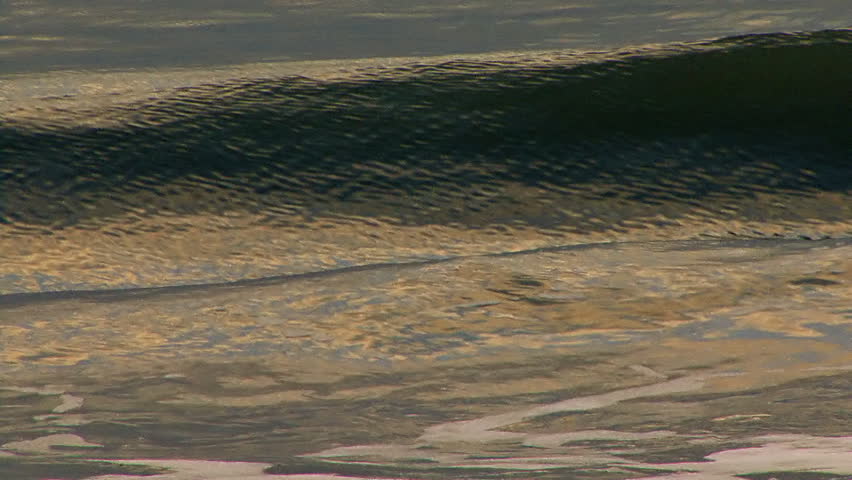 Close tele shot of waves as they approach the shore from the bay in evening. The shot follows the path of the wave until it collapses in foam.
