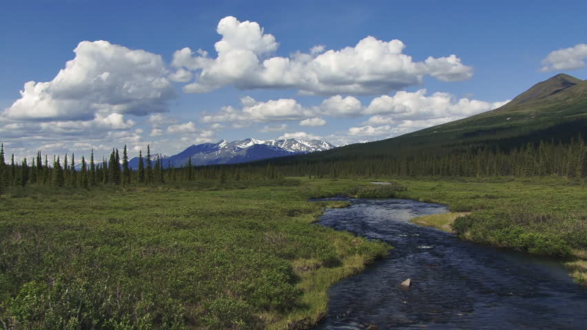Classic summer in Alaska vista with distant mountains, puffy clouds, a crystalline stream, tundra, and swooping swallows.