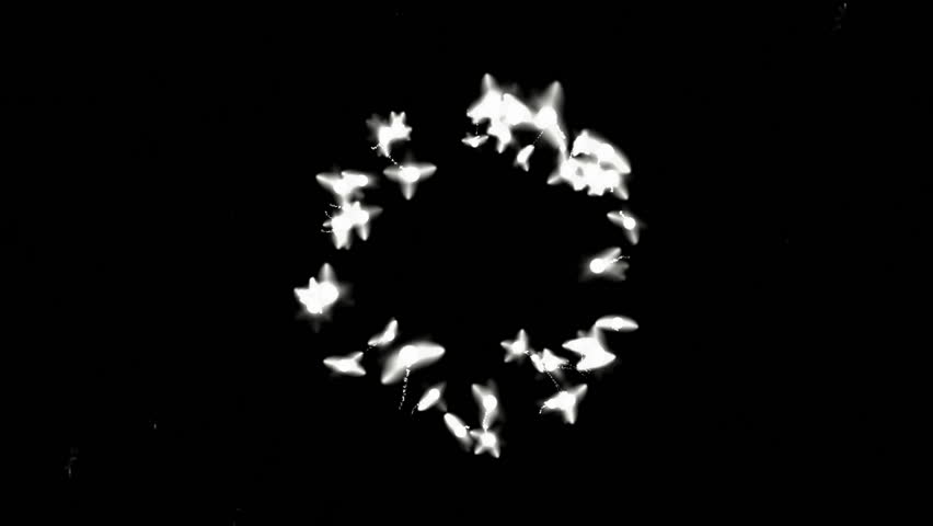 flying firefly & splash white particles at night sky,fairyland scene.