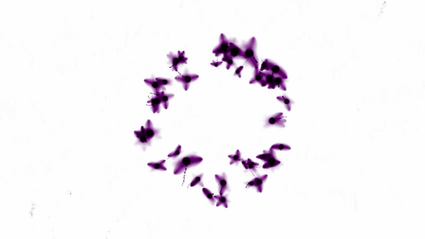 flying firefly & splash watercolor ink particles,fairyland scene.