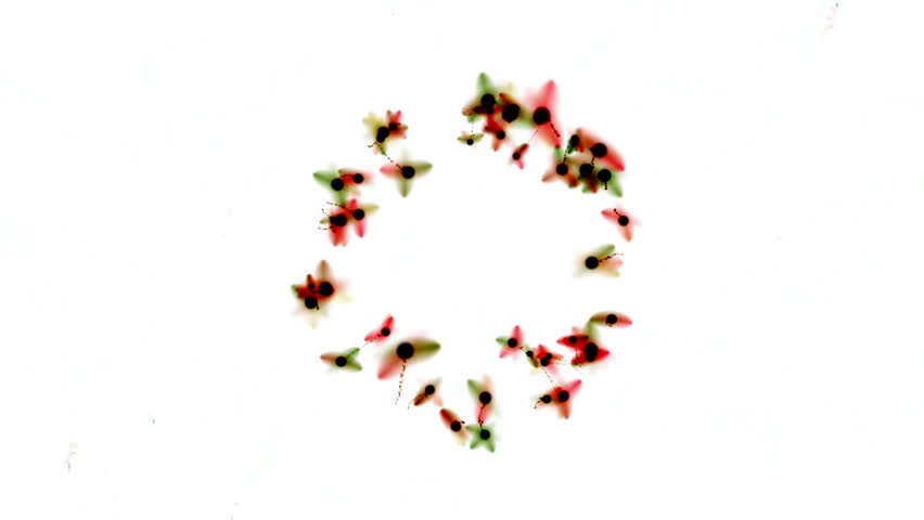 splash watercolor ink particles & flying firefly,fairyland scene.