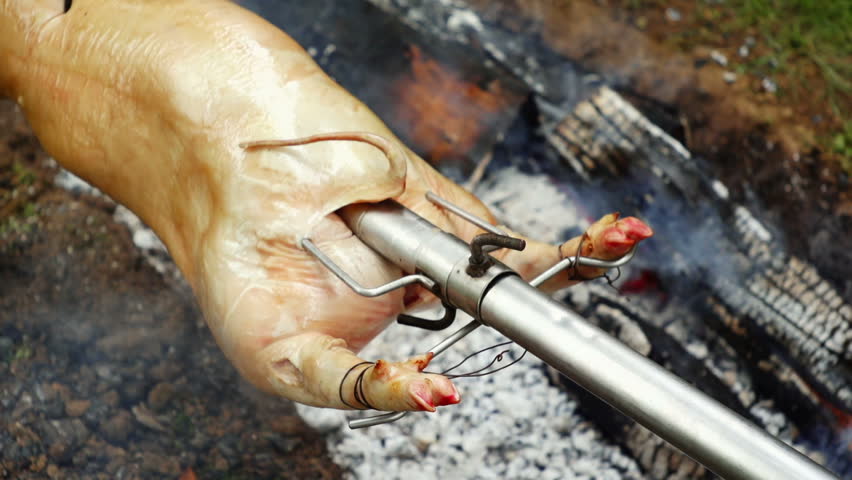 SUPER 35MM CAMERA - Tasty pig on a spit. 