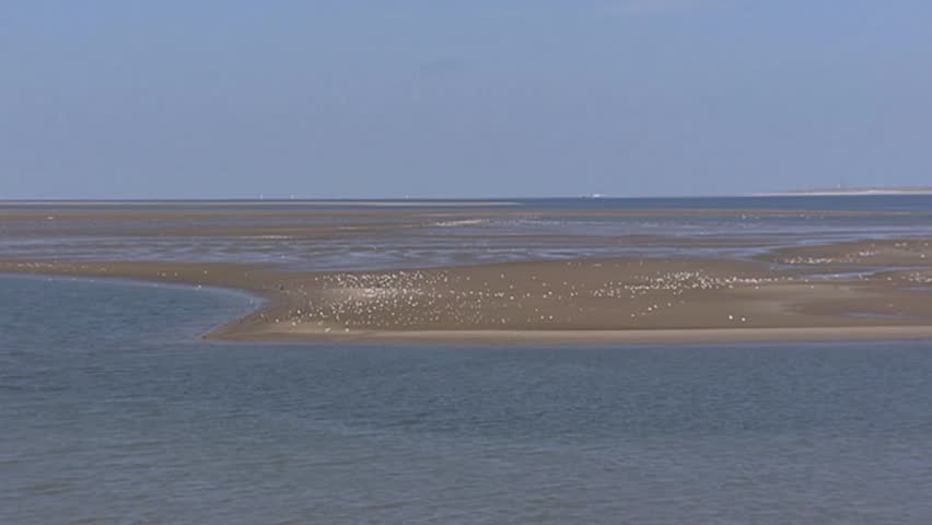 BOTLEK, THE NETHERLANDS - 2003: sand bar in estuary, birds + pan - industry at horizon