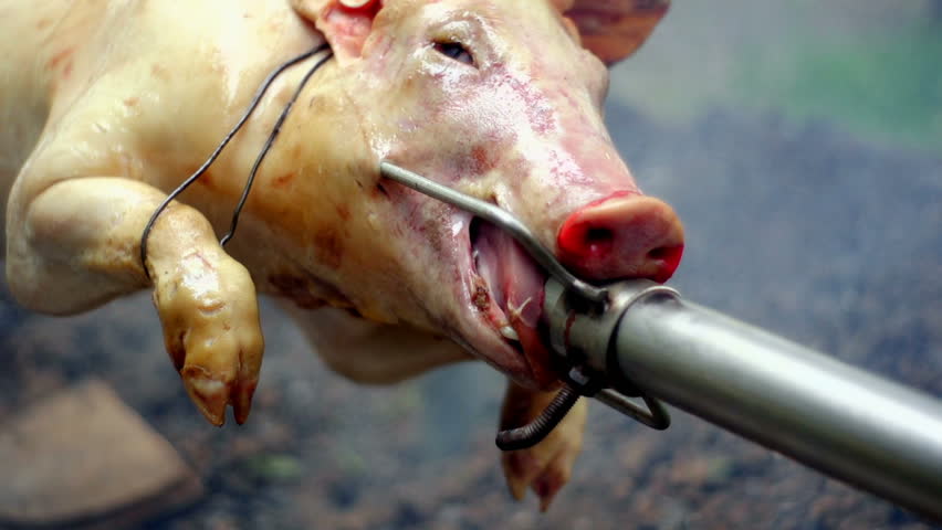 SUPER 35MM CAMERA - Pig on a spit. 