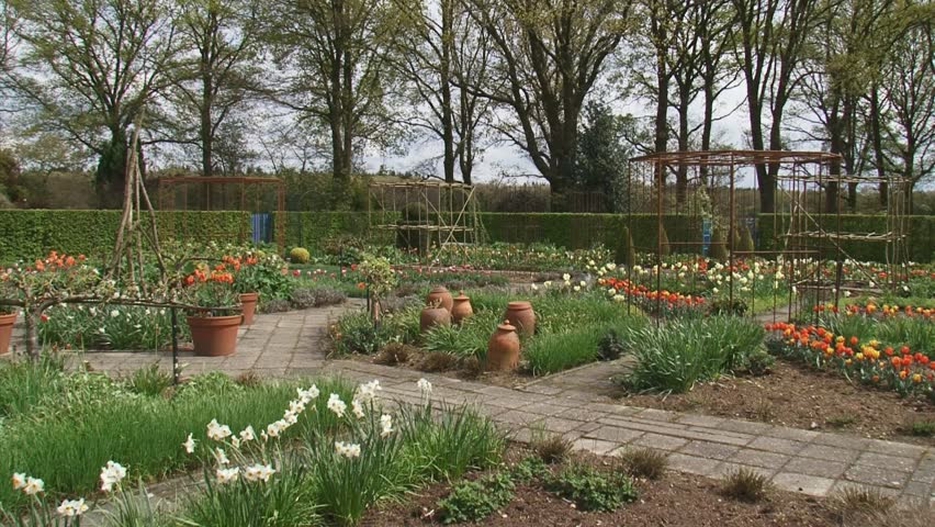 Flower bulbs and terracotta containers in kitchen garden + pan. Forcing is a process which provides an earlier harvest.