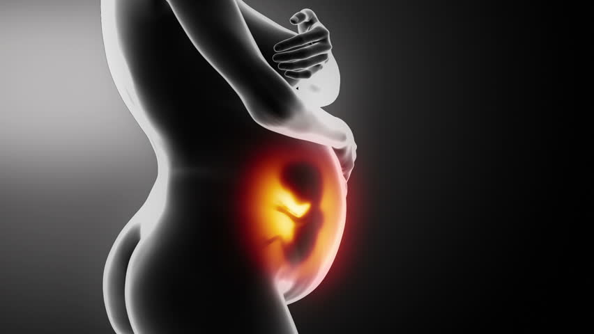 Silhouette of naked pregnant woman in timelapse