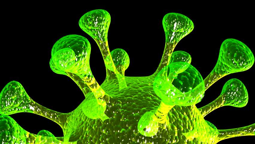 microbe