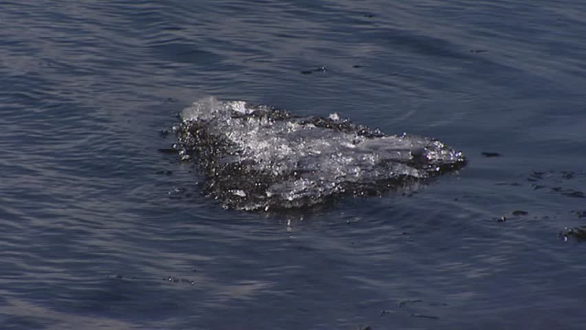 Lake GÃ¥lÃ¥, Norway. Floe in lake.