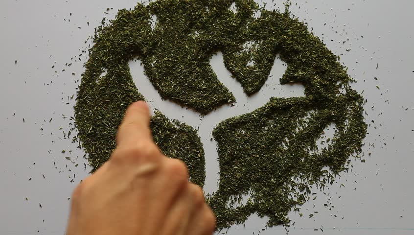 Young adult woman draws tree silhouette in dry dill.
