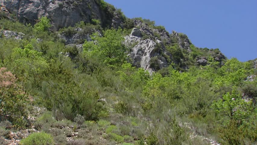 VERDON GORGE, FRANCE: mountain slope with shrubs + pan limestone rocks