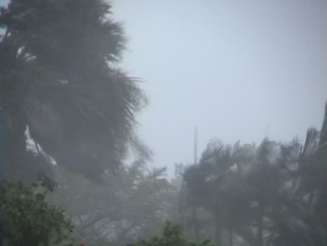 Hurricane winds and rain.