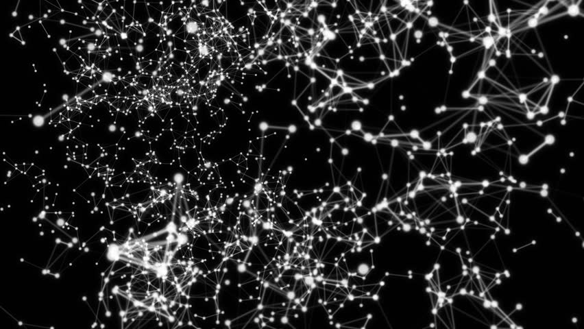 Social network