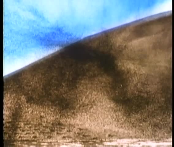 Wide shot of invasion of large swarm of locusts