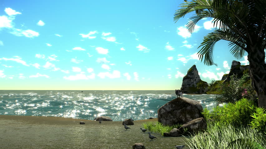 Scenes from a beach
