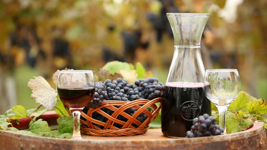 Glass of red wine with bottle and fresh grapes in the vineyard