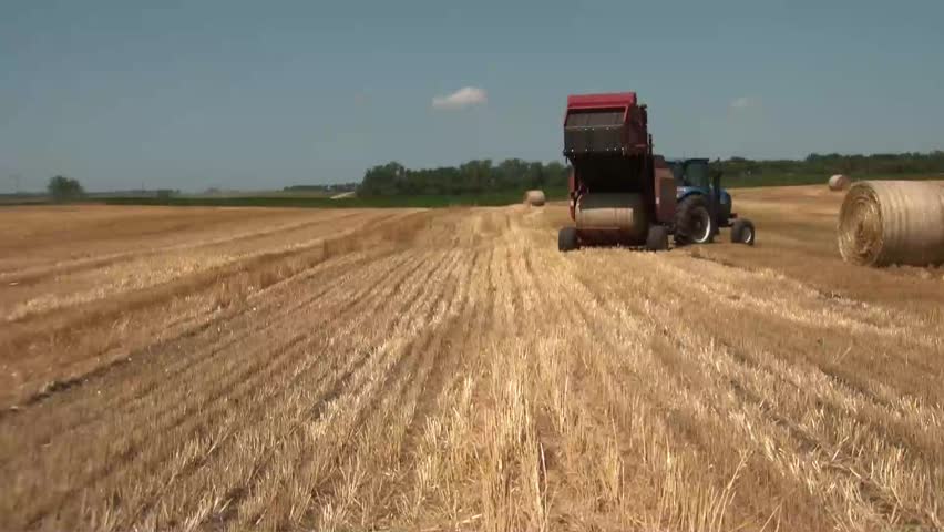 Farmer unloads hay bale in a golden yellow field during sunny afternoon in North Dakota.
