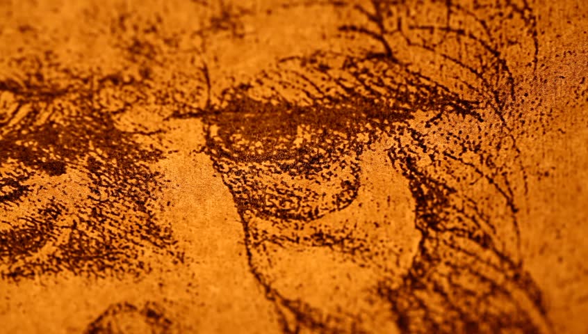 Photo of the Vitruvian Man by Leonardo Da Vinci from 1492