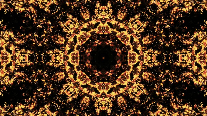 HD - A pulsing kaleidoscope of fall foliage (Loop).