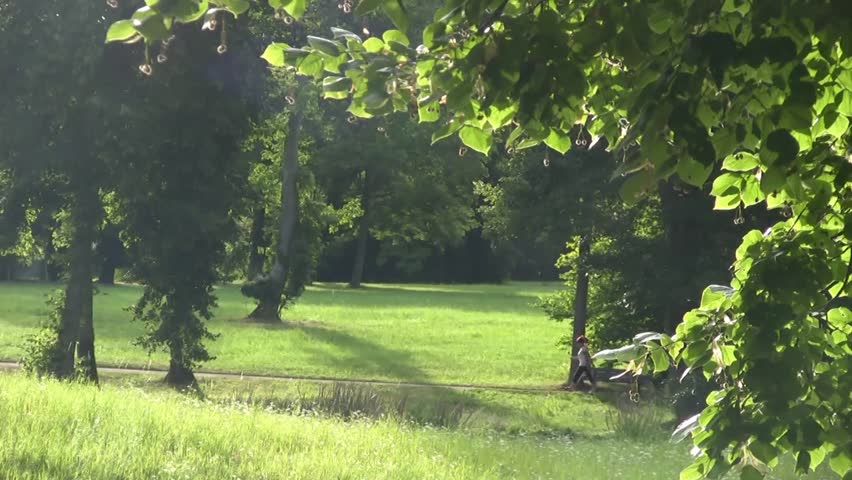 Landscape. Park Environment. 