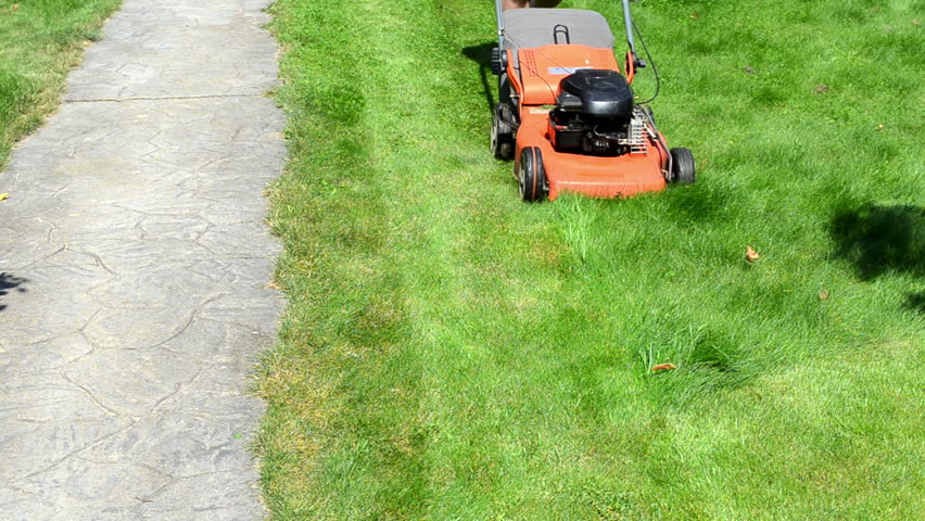 gardener male man in shorts and flip-flop shoes push mower cut lawn grass near stone path.