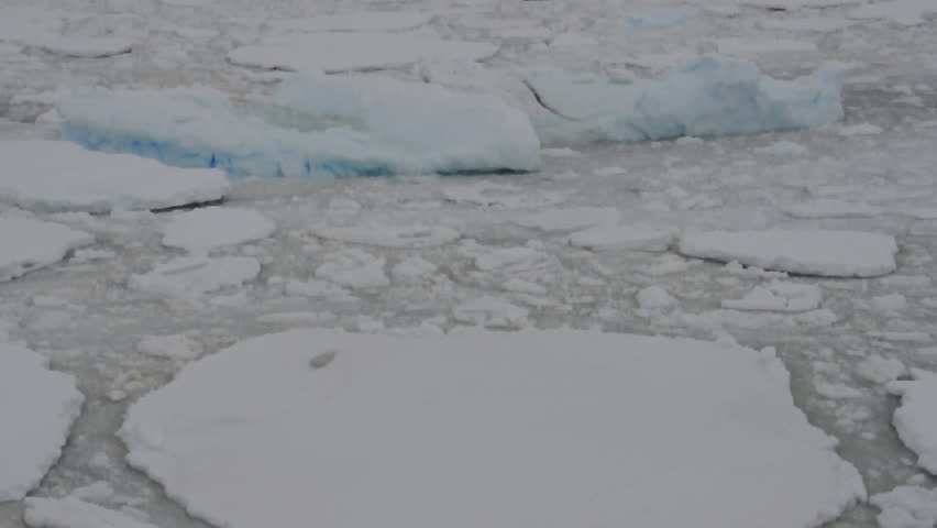 Frozen ocean in Antarctic