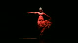 Flamenco dancer dancing traditional flamenco dance on wooden floor and dark background