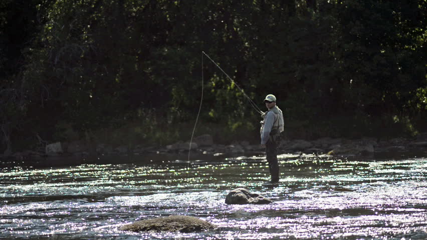 A wide shot of a man in waterproof overalls as he stands in a river and casts his lure with his rod while he spends his day fly fishing.