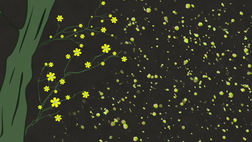 Cherry Blossoming Springtime Illustration Rotating Spring Flowers on Cherry Tree Branches