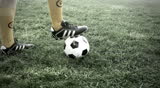 Soccer ball on the grass of football field
