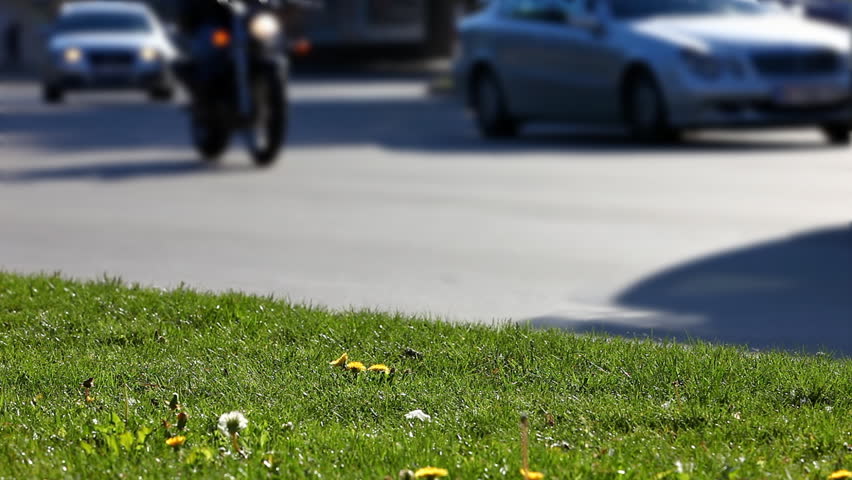 City traffic rushing by on an innocent piece of meadow