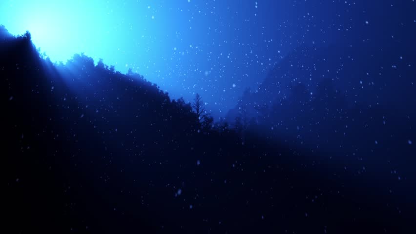 Twinkling sunlight streaks and falling snow in night forest.
