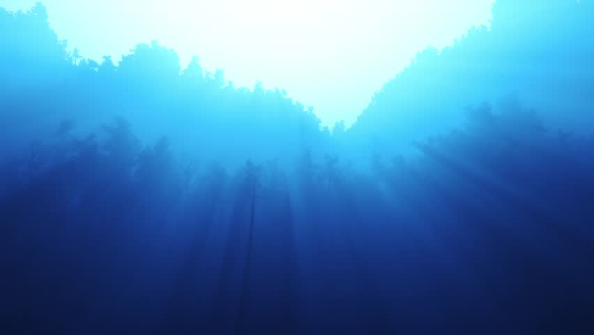Twinkling sunlight streaks in night forest. Seamless loop.