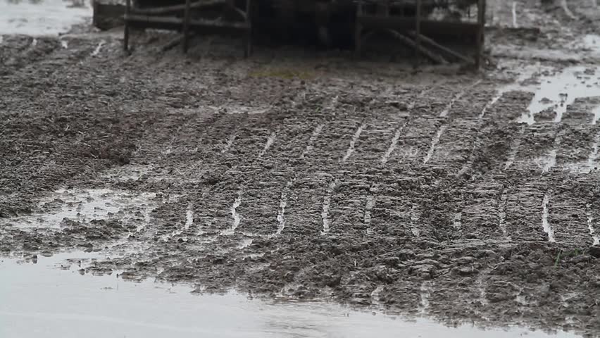 Plowing paddy field