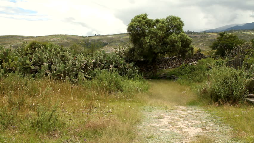 Countryside landscape and indigenous Wari wall in Peru
