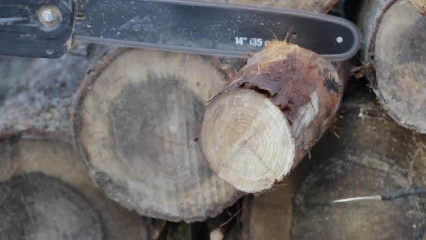 Man sawing a log chainsaw