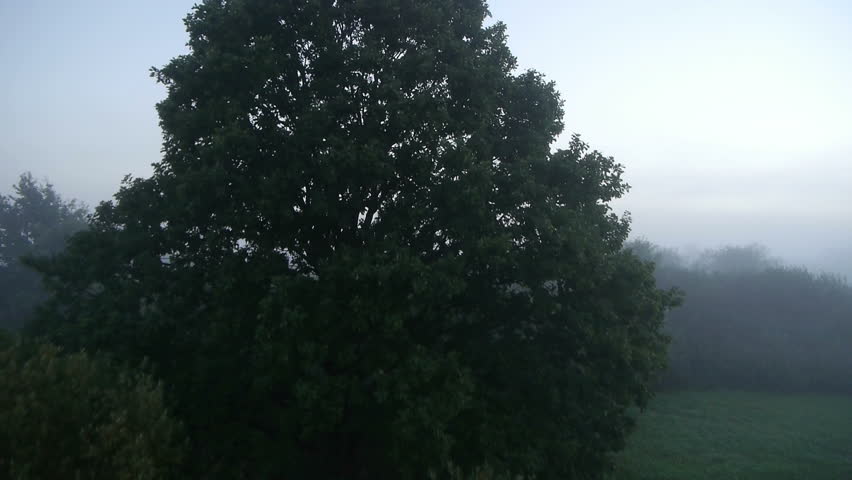 AERIAL: Misty land